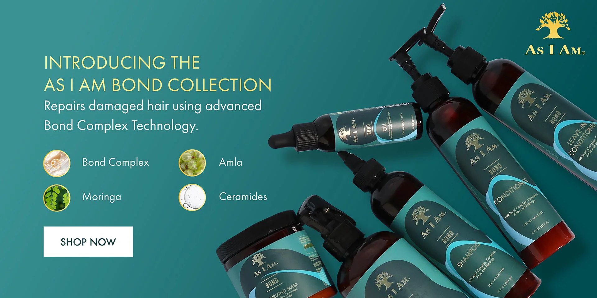 Love Your Curls, Naturally